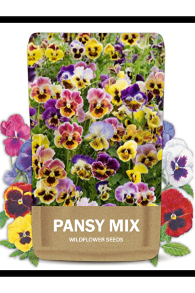 NO BRAND Pansy Seeds for Planting – Premium Colorful Pansy Flower Seeds for H...