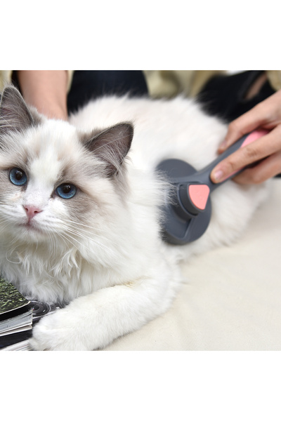 Otomatik Tuşlu Kendini Temizleyen Kedi Köpek Tarağı
