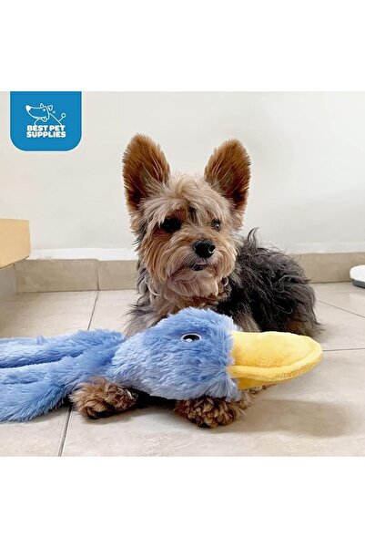 Best Pet Supplies لعبة كلب مجعدة للكلاب الصغيرة والمتوسطة، بطة لطيفة بدون حشو...