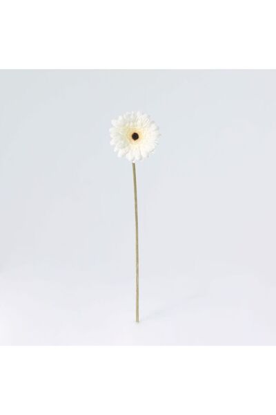 Generic New In Fernza Gerbera Daisy Single Stem White H52Cm