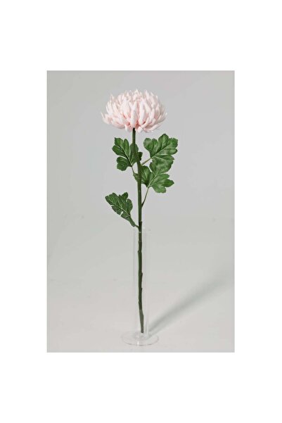 Generic New In Fernza Crab Claw Chrysanthemum Single Branch Pink H56Cm