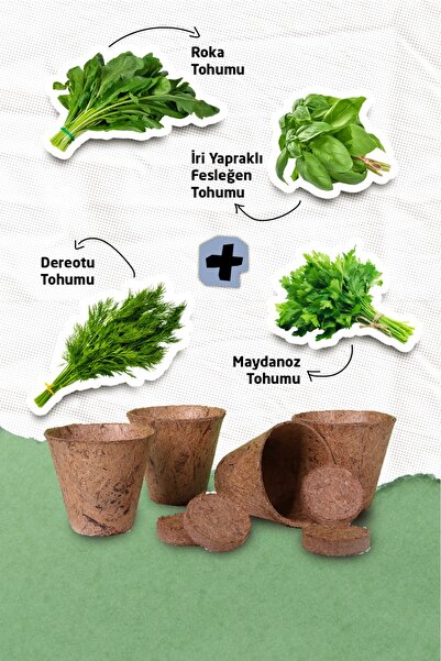 Genta Hobitar Aromatik Yetiştirme Seti - İri Yapraklı Fesleğen Roka Maydanoz ...