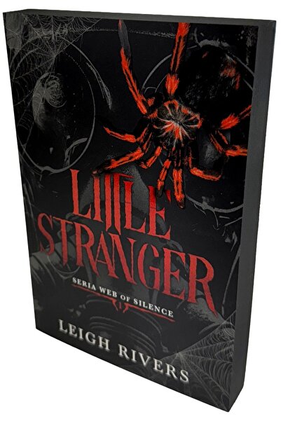 Epica Little Stranger. Seria Web of Silence Vol.1 - Leigh Rivers