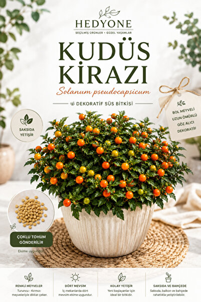 Kudüs Kirazı Tohumu (Solanum pseudocapsicum) | Dekoratif Saksı Çiçeği Tohumu | Çoklu Tohum | Kolay Çimlenir