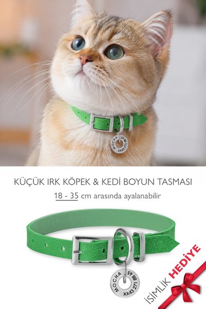 pasiole Kedi-köpek Boyun Tasması İsimlik Hediyeli Ayarlanabilir Kedi & Küçük ...