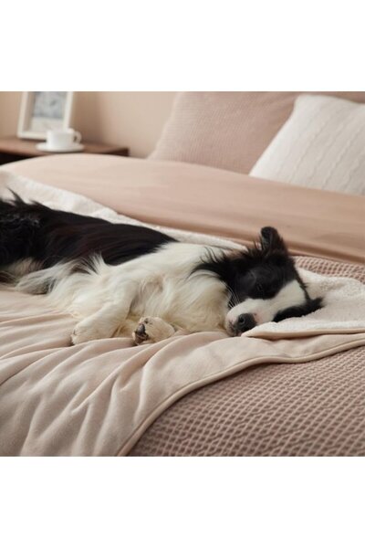 STARSTAR Waterproof dog blanket, washable - 60*80CM - Fleece blanket for larg...