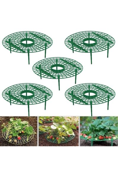 OEM Suport pentru căpșuni, set de 5 piese - Separator pentru plante verzi și ...