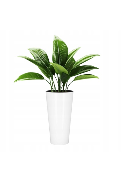 Deco4Home SET 3x JARDINIERE ALBE ROTUNDE LUCIOASE PENTRU TEREȚE + INGREDEȚE