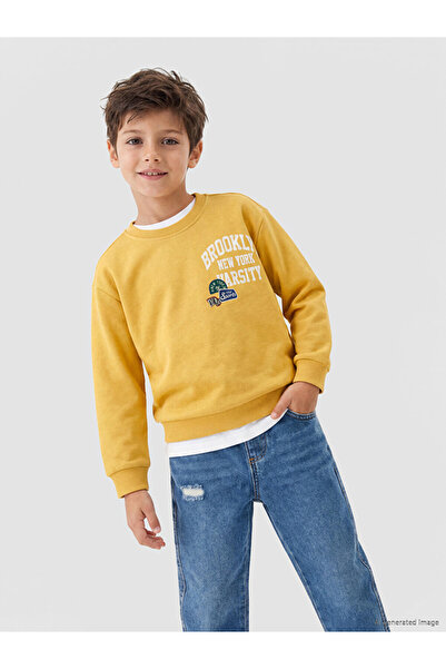 LC Waikiki Printed boy's sweatshirt