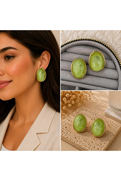Bozhi Earrings Steel Stylish Gift