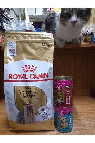Royal Canin Yorkshire Terrier Adult Yetişkin Köpek Kuru Maması 1.5 kg + 2 ade...