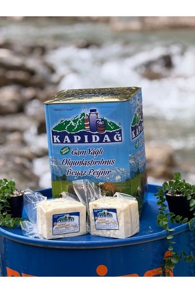 Kapıdağ sert Ezine peyniri