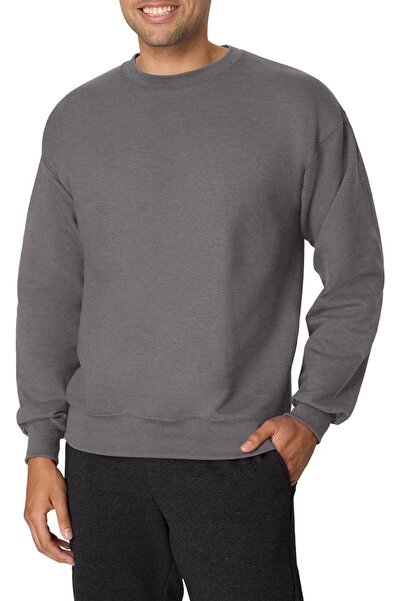 HANES mens Men's Ecosmart Fleece Sweatshirt Hooded Sweatshirt (pack of 1)