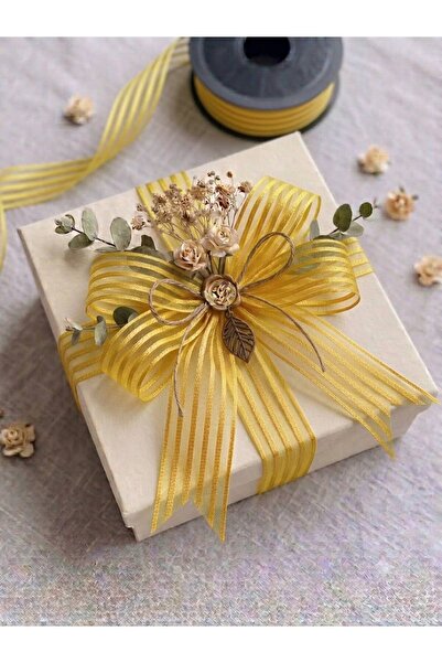 hobimixhobimix Striped Chiffon Ribbon -25Mm -3.5 Meters