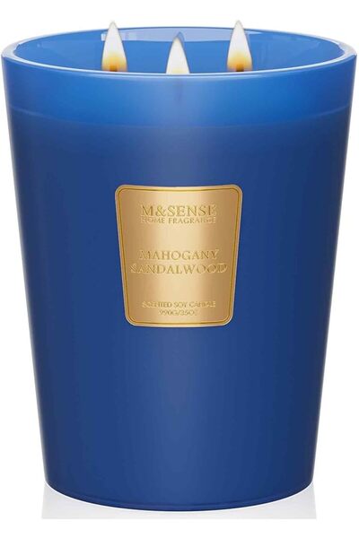 M&SENSE Eucalyptus & Cedarwood Scented Candle, 3 Wick Natural Soy Wax Candles...