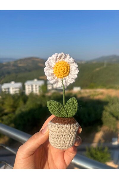 sumicorn Örgü Beyaz Papatya Bej Saksı Çiçek, Solmayan Papatya, El Yapımı Örgü...