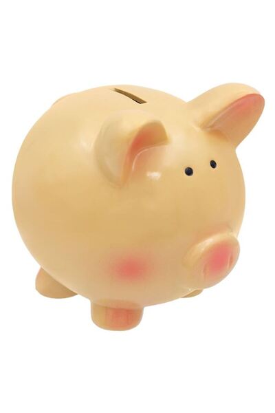 BAMI NETWORK Pusculita ceramica purcel roz somon 17x15x17cm pentru copii