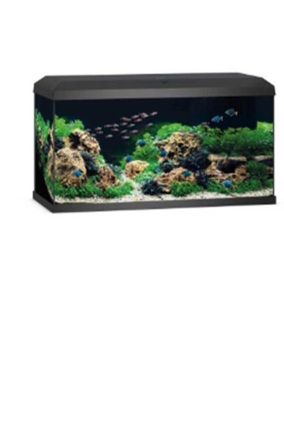 Juwel Primo 110 LED 2.0 Black