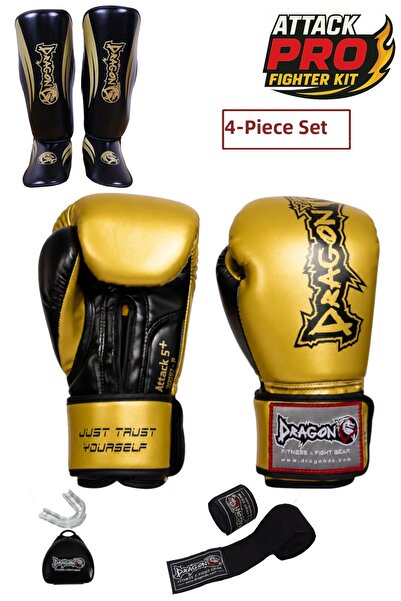 Dragondo Dragon Attack Boxing Gloves Set of 4 Boxing Gloves 40716 Horse Prote...
