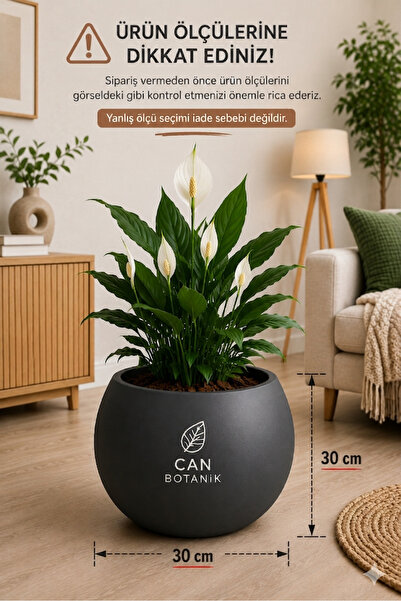 CANBOTANİK Yuvarlak Saksı Salon Saksı 30 cm Boş saksı plastik çiçek saksısı s...