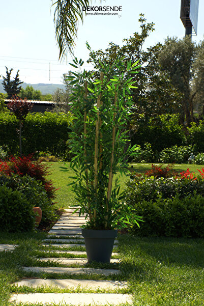 Dekorsende Yapay Bambu Ağacı 170 Cm