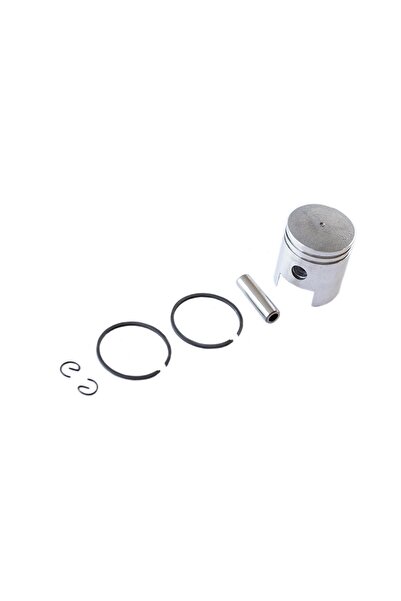 micul fermier Atomizor cu piston 40F