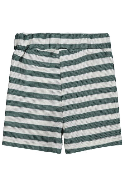 Civil Baby Striped 6-18 Months Shorts - Green