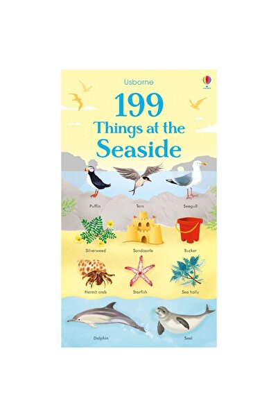 Usborne Children's book - 199 Things at the Seaside