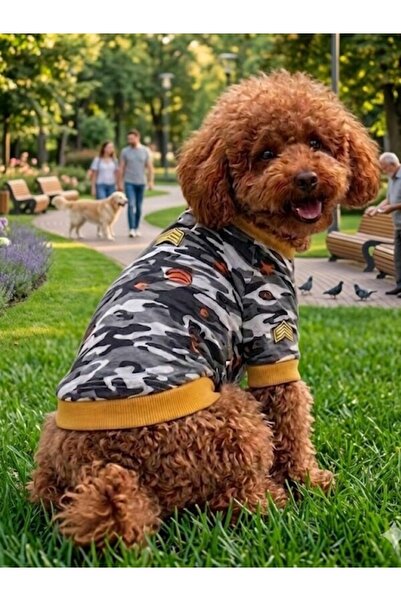 Peti Tailor Köpek Tişörtü Kamuflaj Desenli Sarı Detaylı Kısa Kollu Kedi Köpek...