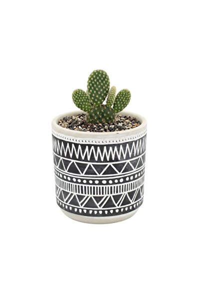 BM GİFT DESİGN Ghiveci ceramică 9x9 cm model linii simetrii
