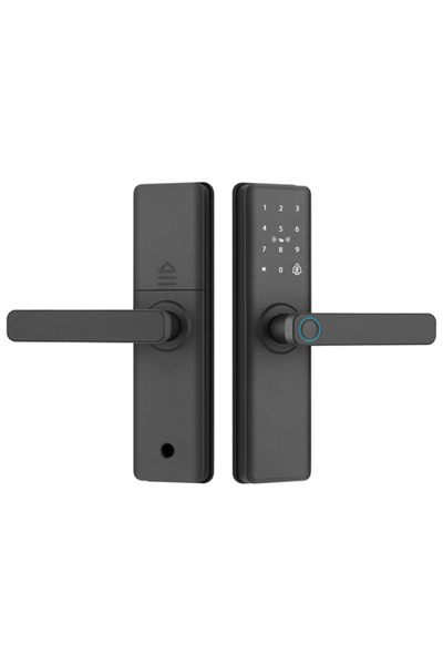 OEM Incuietoare Inteligentă WiFi pentru Ușă – Biometrică Parolă Card RFID Con...