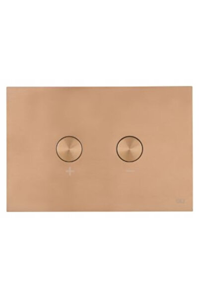 OEM Buton pneumatic, OLI, Compatibil OLI, Cupru, 22x15cm, Oțel inoxidabil Bli...