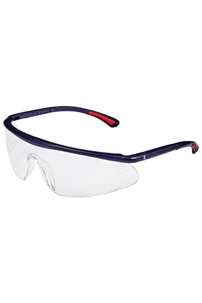 CERVA Barden Anti-Fog Work Glasses