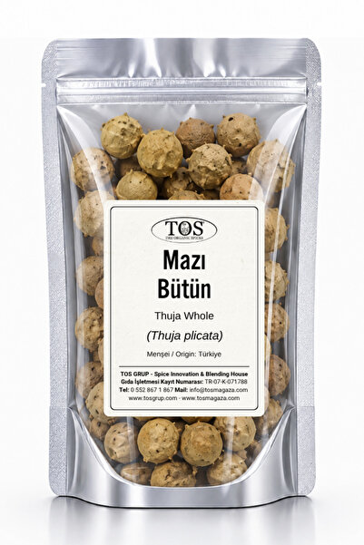 TOS The Organic Spices Mazı Bütün 100 gr (1. KALİTE) Thuja Plicata / Thuja Whole