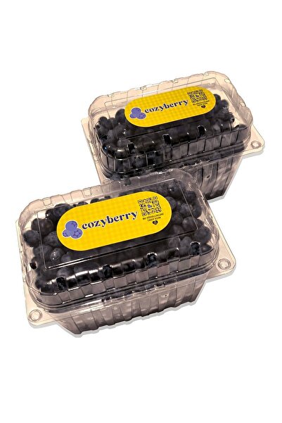 Cozyberry Taze Yaban Mersini-2000 gr