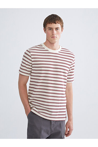 LC Waikiki Xside Claret Red Crew Neck Striped Combed Cotton Men's T-Shirt