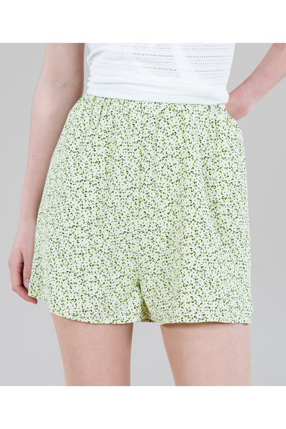 Evendi Pantaloni scurti, Verde