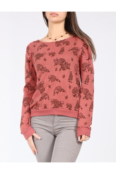 Evendi Bluza, Roz