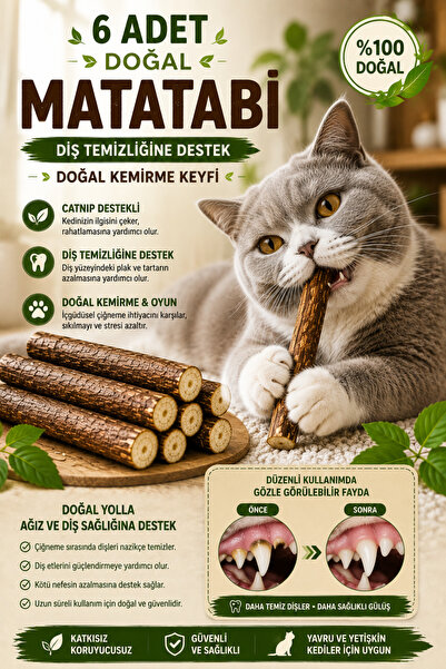 Yıldızhane 6 Adet Doğal Catnip Destekli Matatabi Çubuğu Kedi Oyuncağı Kedi Yalama Çubuğu Kedi Diş Temizleme Çubuğu Doğal Kedi Çiğneme Oyuncağı Kedi Diş Bakım Çubuğu