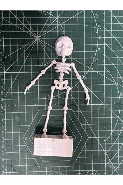 SONMEZSTORE 3D üretim, Hava ile Dans Eden İskelet Akvaryum için - 14CM
