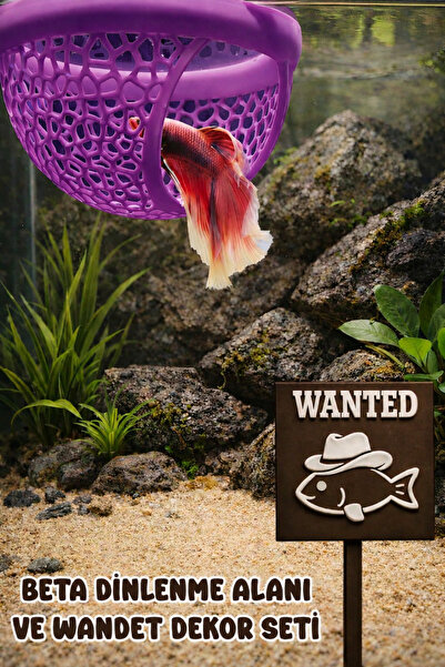 Akvaryum Beta Dinlenme Alanı ve Wanted Dekoru KarmaRenk Beta Yuvası Balık Yav...