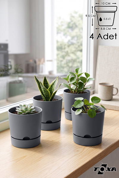 ToXA 4 Adet 0.5 Litre Gri Begonya Saksı Küçük Boy Tabaklı Dekoratif Mat Plast...