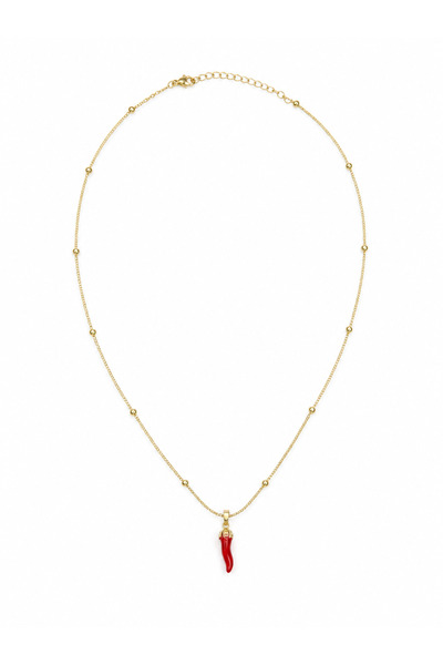 Lisse.co Top Detail Chain Şans Biber Steel Necklace