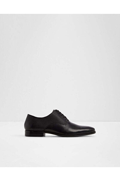 Aldo Dennis / Lace Ups