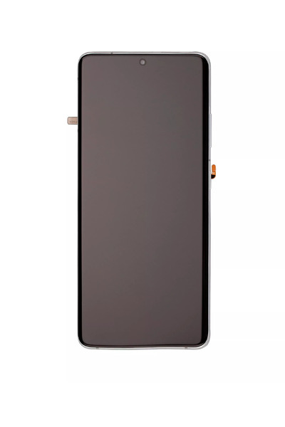 Samsung Galaxy S21 Ultra (G998) Pachet Service Display (Argintiu)