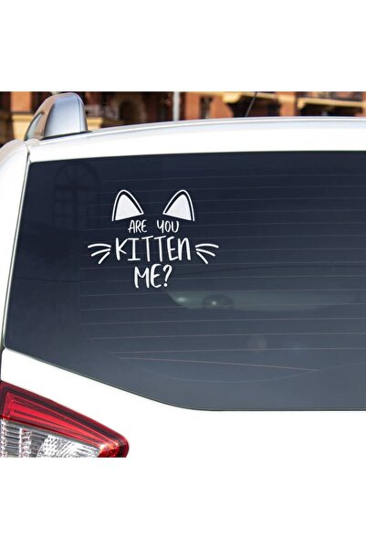 OEM Sticker auto (15cm) - Kitty