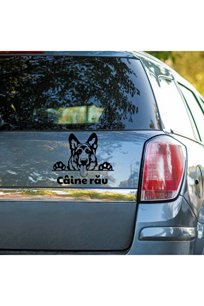 OEM Sticker auto (15cm) - Caine Rau