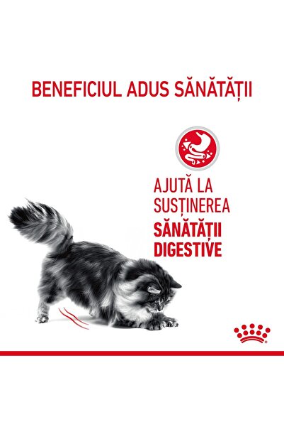 Royal Canin Hrană umedă pentru pisici adulte Digest Sensitive Care în sos 12 ...
