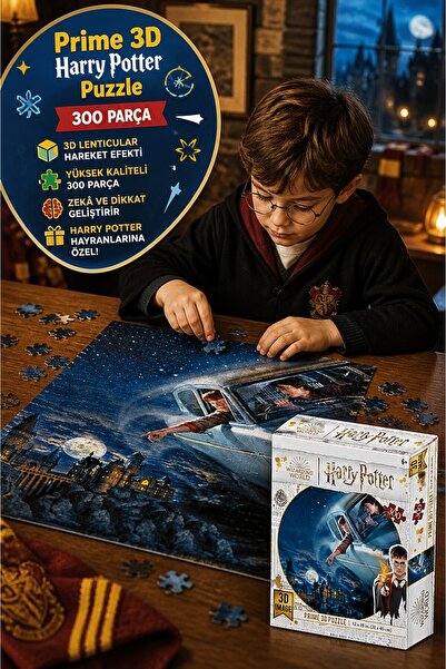 TOYFEST لغز برايم ثري دي هاري بوتر 300 قطعة، لغز ثلاثي الأبعاد بتأثير رون، مق...