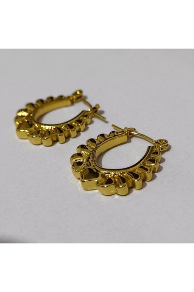 Zennemor Stainless Steel Antiallergic Gold Color Earrings, Suitable for Daily Use and Combinations